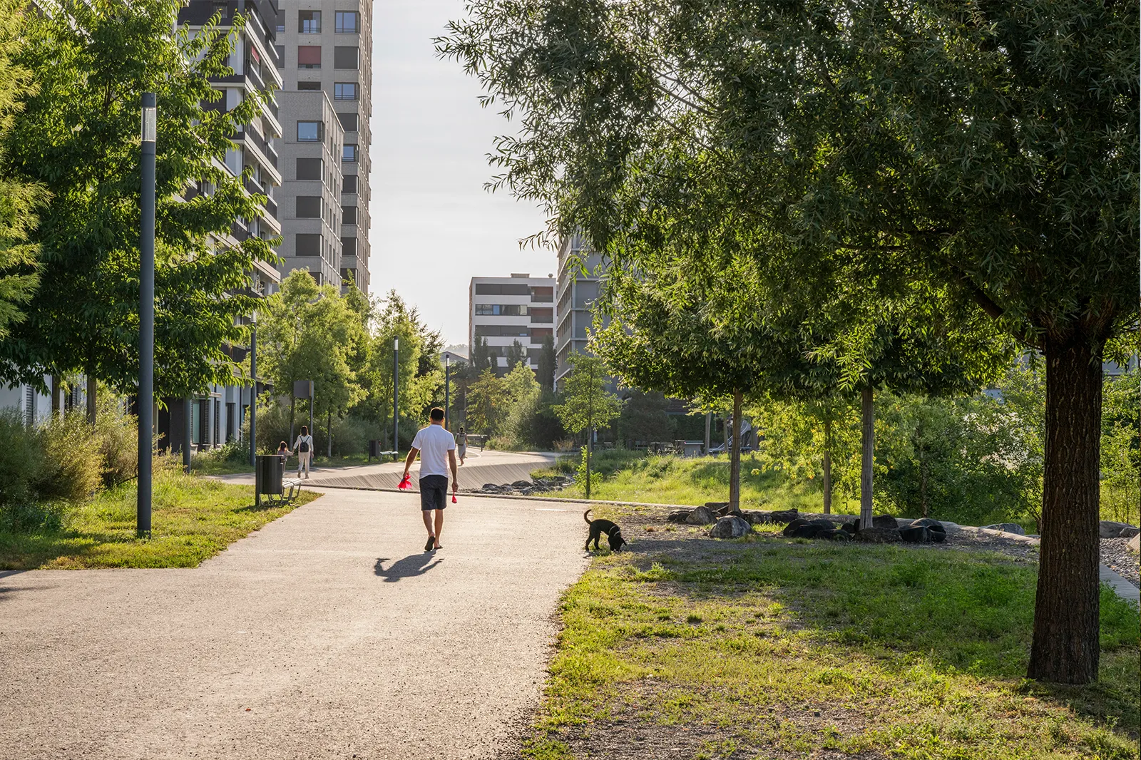 Rietpark Schlieren als Beispiel für das Blue Nexus Reallabor